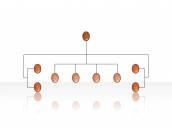 Hierarchy Diagrams 2.6.18
