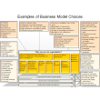 Examples of Business Model Choices