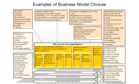 Examples of Business Model Choices