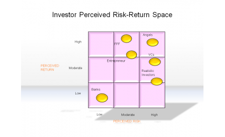 Investor Perceived Risk-Return Space