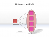 Multicomponent Profit