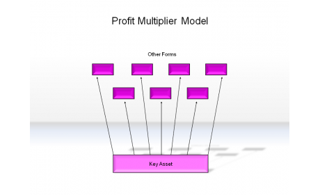 Profit Multiplier Model