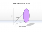 Transaction Scale Profit