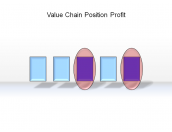Value Chain Position Profit