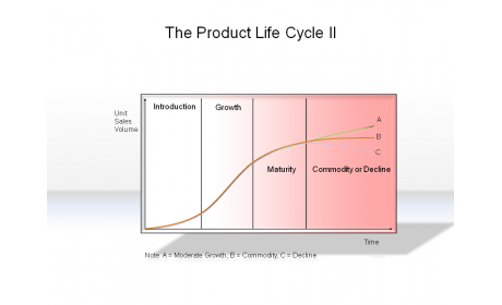 The Product Life Cycle II