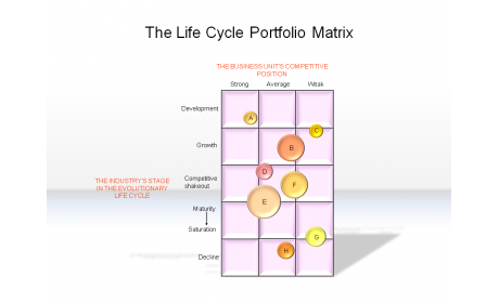 The Life Cycle Portfolio Matrix