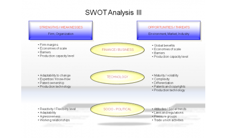 SWOT Analysis III