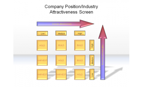 Company Position/Industry Attractiveness Screen