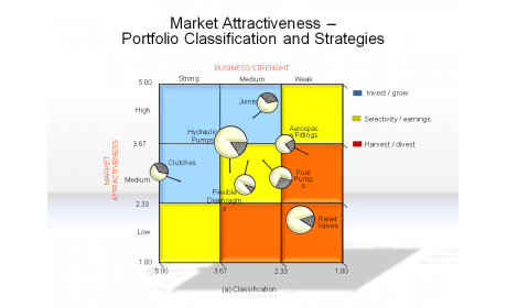 Market Attractiveness - Portfolio Classification and Strategies
