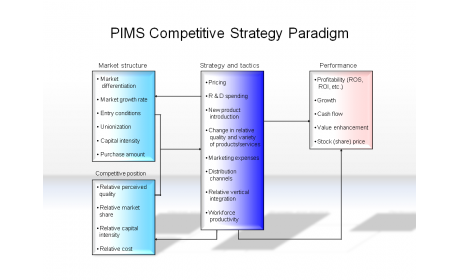 PIMS Competitive Strategy Paradigm