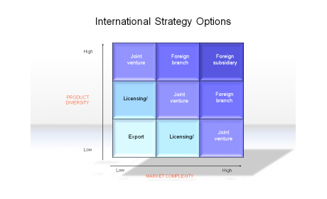 International Strategy Options