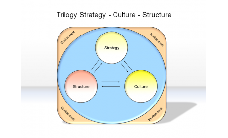 Trilogy Strategy - Culture - Structure