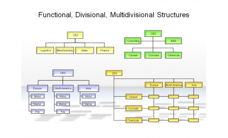 Functional, Divisional, Multidivisional Structures