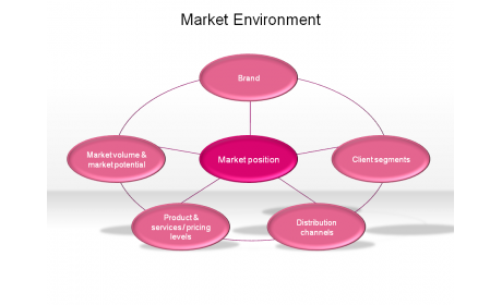 Market Environment