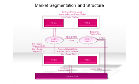 Market Segmentation and Structure