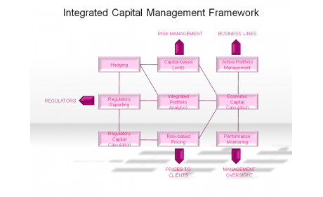Integrated Capital Management Framework