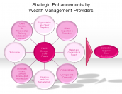 Strategic Enhancements by Wealth Management Providers