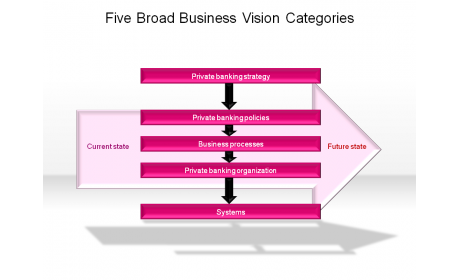 Five Broad Business Vision Categories