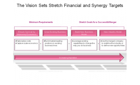 The Vision Sets Stretch Financial and Synergy Targets
