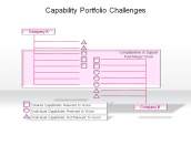 Capability Portfolio Challenges