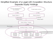 Simplified Example of a Legal LBO Acquisition Structure. Separate Equity Holdings