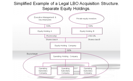 Simplified Example of a Legal LBO Acquisition Structure. Separate Equity Holdings