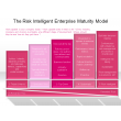 The Risk Intelligent Enterprise Maturity Model