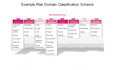 Example Risk Domain Classification Scheme
