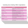 Operating levers Existing Within Organizations