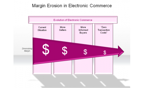 Margin Erosion in Electronic Commerce