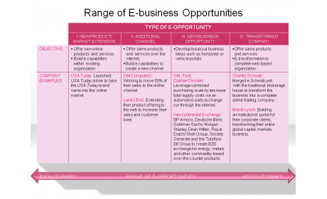Range of E-business Opportunities