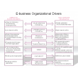 E-business Organizational Drivers