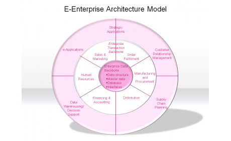 E-Enterprise Architecture Model