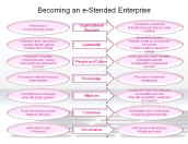Becoming an e-Stended Enterprise