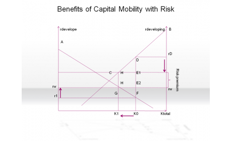 Benefits of Capital Mobility with Risk