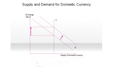 Supply and Demand for Domestic Currency