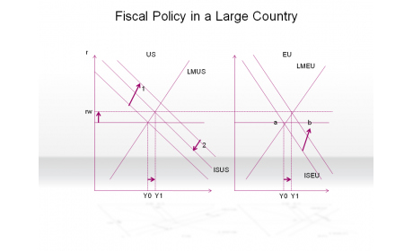 Fiscal Policy in a Large Country