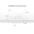 The Effects of an Import Quota
