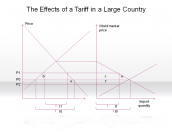 The Effects of a Tariff in a Large Country