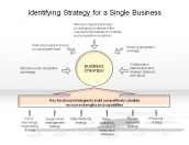 Identifying Strategy for a Single Business