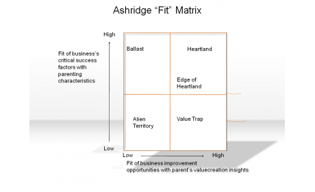 Ashridge “Fit” Matrix