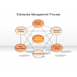 Enterprise Management Process