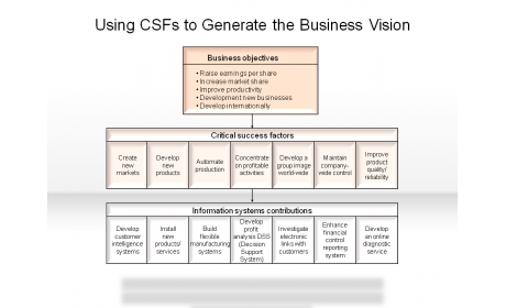 Using CSF's to Generate the Business Vision