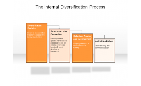 The Internal Diversification Process