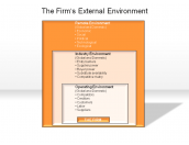The Firm's External Environment