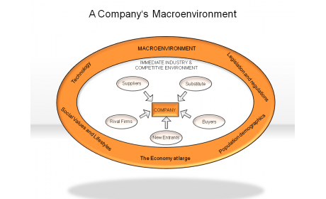 A Company's Macroenvironment