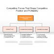 Competitive Forces That Shape Competitive Position and Profitability