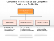 Competitive Forces That Shape Competitive Position and Profitability