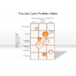 The Life-Cycle Portfolio Matrix
