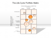 The Life-Cycle Portfolio Matrix
